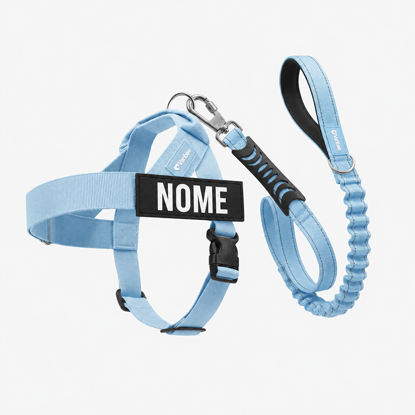 [guinzaglio] kit completo azzurro
