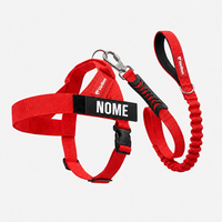 [guinzaglio] kit completo rosso