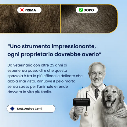Spazzola professionale per la muta di animali
