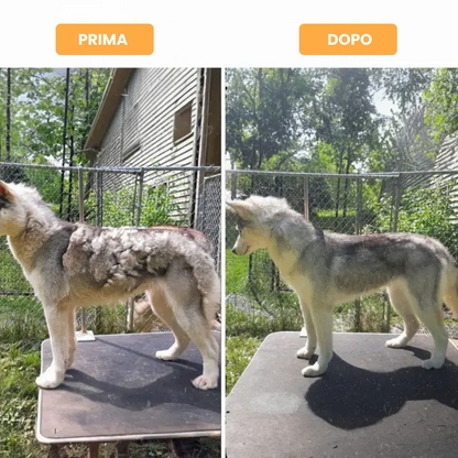 Spazzola professionale per la muta di animali