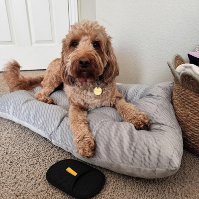 Foto recensione di Andrea F.