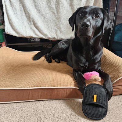 Foto recensione di Luca B.