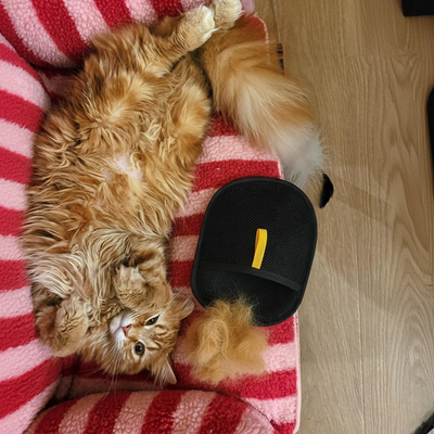 Foto recensione di Chiara M.