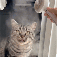 Varibee - Spazzola a Vapore 3 in 1