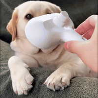 Varibee - Spazzola a Vapore 3 in 1