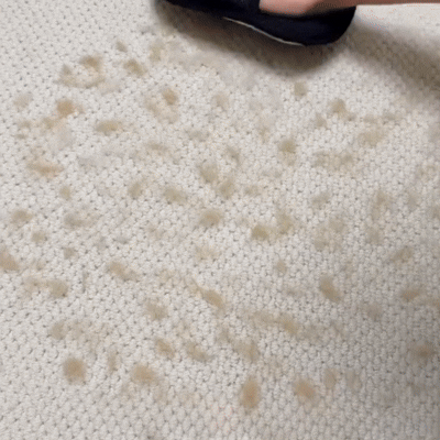 Varibee - Guanto rimuovi peli