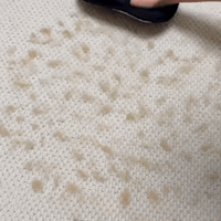 Varibee - Guanto rimuovi peli